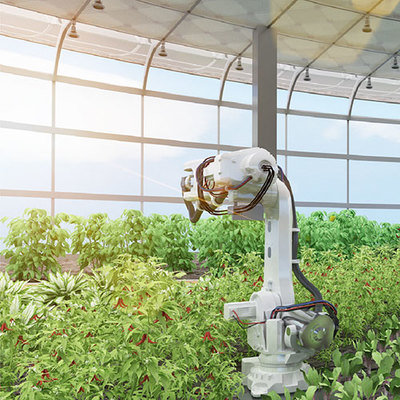 艾绿集团 引领花卉产业创新与绿色发展的领军者