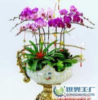 杭州花卉盆景植物租赁租摆服务，世界工厂网供应信息