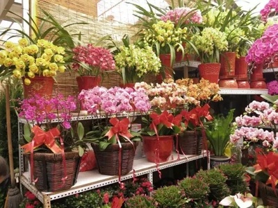 镇江这20个“之最”，知道一半以上才算是老镇江人！