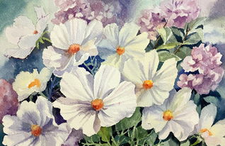 花卉——装点生活与心灵的自然诗篇