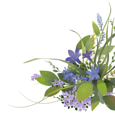 兔子的果园 插画艺术与花卉包装的商业邂逅