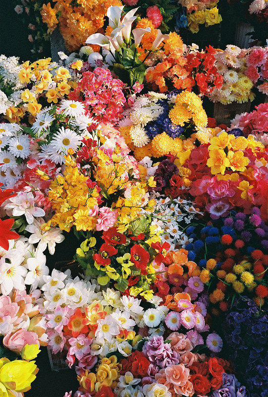 花团锦簇的盛宴——当绚烂花海遇见香甜水果